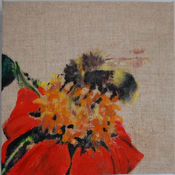 Bee and Tithonia
